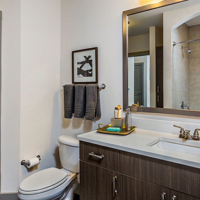 Creekside at Crabtree - Bathroom with Towel Rack and Large Vanity